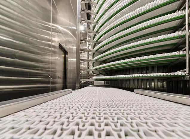 Spiral IQF, India Food Park