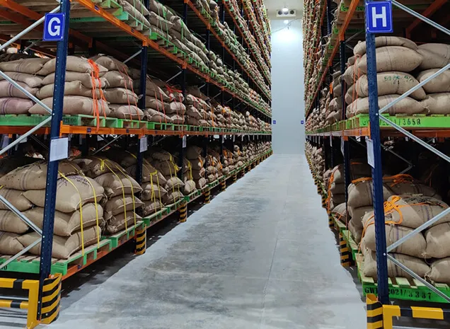 Temperature and Humidity Controlled Warehouse