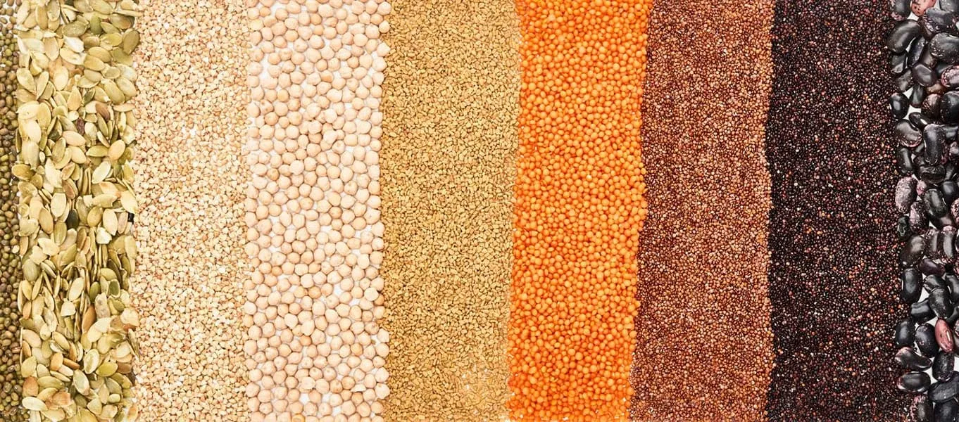 Seed Storage Cold Chain Solutions