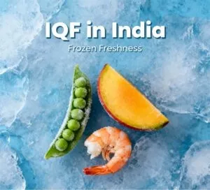 Warehouse Efficiency